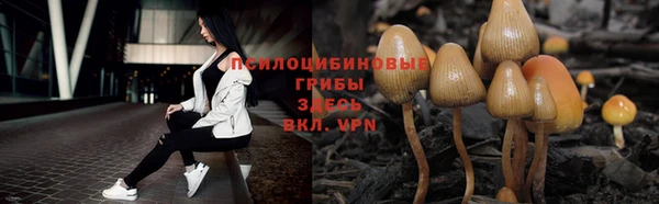 прущие грибы Алексин