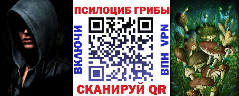 Псилоцибиновые грибы GOLDEN TEACHER Билибино